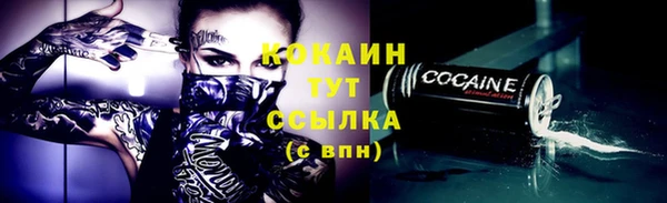 соль ск Богородицк