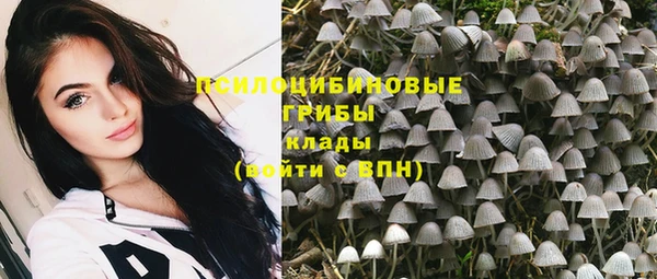 дживик Богданович