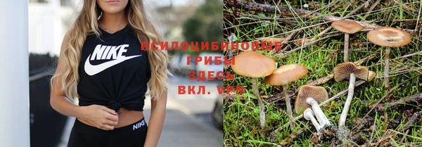 mdma Сафоново